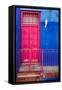 Awesome South Africa Collection - Colors Gateway Pink & Royal Blue-Philippe Hugonnard-Framed Stretched Canvas