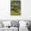 Awesome South Africa Collection - Giraffe eating from the Tree-Philippe Hugonnard-Photographic Print displayed on a wall