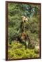 Awesome South Africa Collection - Giraffe eating from the Tree-Philippe Hugonnard-Framed Photographic Print