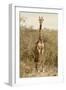 Awesome South Africa Collection - Giraffe I-Philippe Hugonnard-Framed Photographic Print