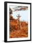 Awesome South Africa Collection - Giraffe in Red Trees II-Philippe Hugonnard-Framed Photographic Print