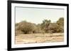 Awesome South Africa Collection - Giraffe in the Savanna II-Philippe Hugonnard-Framed Photographic Print