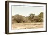 Awesome South Africa Collection - Giraffe in the Savanna II-Philippe Hugonnard-Framed Photographic Print