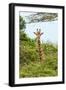 Awesome South Africa Collection - Giraffe in Trees II-Philippe Hugonnard-Framed Photographic Print