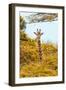Awesome South Africa Collection - Giraffe in Yellow Trees II-Philippe Hugonnard-Framed Photographic Print