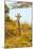 Awesome South Africa Collection - Giraffe in Yellow Trees II-Philippe Hugonnard-Mounted Photographic Print