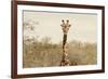 Awesome South Africa Collection - Giraffe Portrait II-Philippe Hugonnard-Framed Photographic Print