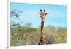 Awesome South Africa Collection - Giraffe Portrait-Philippe Hugonnard-Framed Photographic Print