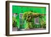 Awesome South Africa Collection - Green House - Cape Town-Philippe Hugonnard-Framed Photographic Print