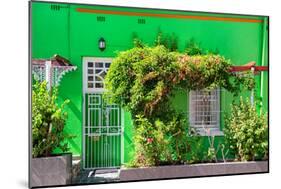 Awesome South Africa Collection - Green House - Cape Town-Philippe Hugonnard-Mounted Photographic Print