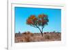 Awesome South Africa Collection - Green Tree Heart-Philippe Hugonnard-Framed Photographic Print