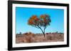 Awesome South Africa Collection - Green Tree Heart-Philippe Hugonnard-Framed Photographic Print