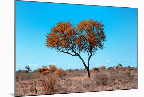Awesome South Africa Collection - Green Tree Heart-Philippe Hugonnard-Mounted Photographic Print