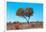 Awesome South Africa Collection - Green Tree Heart-Philippe Hugonnard-Framed Photographic Print