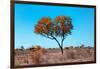 Awesome South Africa Collection - Green Tree Heart-Philippe Hugonnard-Framed Photographic Print