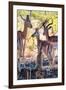 Awesome South Africa Collection - Impala Family I-Philippe Hugonnard-Framed Photographic Print