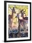 Awesome South Africa Collection - Impala Family I-Philippe Hugonnard-Framed Photographic Print