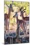 Awesome South Africa Collection - Impala Family I-Philippe Hugonnard-Mounted Photographic Print