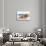 Awesome South Africa Collection - Lonely Bench-Philippe Hugonnard-Stretched Canvas displayed on a wall