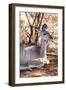 Awesome South Africa Collection - Nyala Antelope I-Philippe Hugonnard-Framed Photographic Print