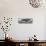 Awesome South Africa Collection Panoramic - Acacia Tree B&W-Philippe Hugonnard-Mounted Photographic Print displayed on a wall