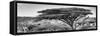 Awesome South Africa Collection Panoramic - Acacia Tree B&W-Philippe Hugonnard-Framed Stretched Canvas