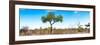 Awesome South Africa Collection Panoramic - Acacia Tree in the Savannah II-Philippe Hugonnard-Framed Photographic Print