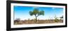 Awesome South Africa Collection Panoramic - Acacia Tree in the Savannah II-Philippe Hugonnard-Framed Photographic Print