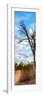 Awesome South Africa Collection Panoramic - Acacia Tree in the Savannah-Philippe Hugonnard-Framed Photographic Print