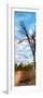 Awesome South Africa Collection Panoramic - Acacia Tree in the Savannah-Philippe Hugonnard-Framed Photographic Print