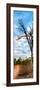 Awesome South Africa Collection Panoramic - Acacia Tree in the Savannah-Philippe Hugonnard-Framed Photographic Print