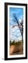 Awesome South Africa Collection Panoramic - Acacia Tree in the Savannah-Philippe Hugonnard-Framed Photographic Print