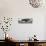 Awesome South Africa Collection Panoramic - Acacia Tree-Philippe Hugonnard-Stretched Canvas displayed on a wall