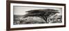 Awesome South Africa Collection Panoramic - Acacia Tree-Philippe Hugonnard-Framed Photographic Print