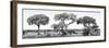 Awesome South Africa Collection Panoramic - Acacia Trees on Savannah B&W-Philippe Hugonnard-Framed Photographic Print