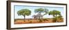 Awesome South Africa Collection Panoramic - Acacia Trees on Savannah-Philippe Hugonnard-Framed Photographic Print