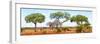 Awesome South Africa Collection Panoramic - Acacia Trees on Savannah-Philippe Hugonnard-Framed Photographic Print