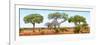 Awesome South Africa Collection Panoramic - Acacia Trees on Savannah-Philippe Hugonnard-Framed Photographic Print