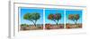 Awesome South Africa Collection Panoramic - Acacia Trees Triptych II-Philippe Hugonnard-Framed Photographic Print