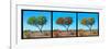 Awesome South Africa Collection Panoramic - Acacia Trees Triptych-Philippe Hugonnard-Framed Photographic Print