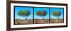 Awesome South Africa Collection Panoramic - Acacia Trees Triptych-Philippe Hugonnard-Framed Photographic Print