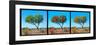 Awesome South Africa Collection Panoramic - Acacia Trees Triptych-Philippe Hugonnard-Framed Photographic Print