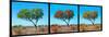 Awesome South Africa Collection Panoramic - Acacia Trees Triptych-Philippe Hugonnard-Mounted Photographic Print