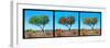 Awesome South Africa Collection Panoramic - Acacia Trees Triptych-Philippe Hugonnard-Framed Photographic Print