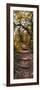 Awesome South Africa Collection Panoramic - African Forest Fall Colors II-Philippe Hugonnard-Framed Photographic Print