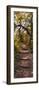 Awesome South Africa Collection Panoramic - African Forest Fall Colors II-Philippe Hugonnard-Framed Photographic Print