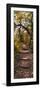 Awesome South Africa Collection Panoramic - African Forest Fall Colors II-Philippe Hugonnard-Framed Photographic Print