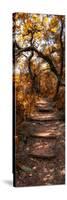 Awesome South Africa Collection Panoramic - African Forest Fall Colors-Philippe Hugonnard-Stretched Canvas