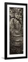 Awesome South Africa Collection Panoramic - African Forest II B&W-Philippe Hugonnard-Framed Photographic Print