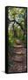 Awesome South Africa Collection Panoramic - African Forest-Philippe Hugonnard-Framed Stretched Canvas